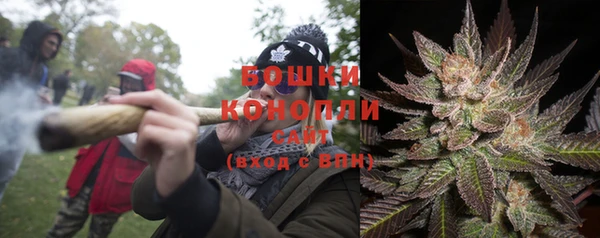 молекула духа Осинники